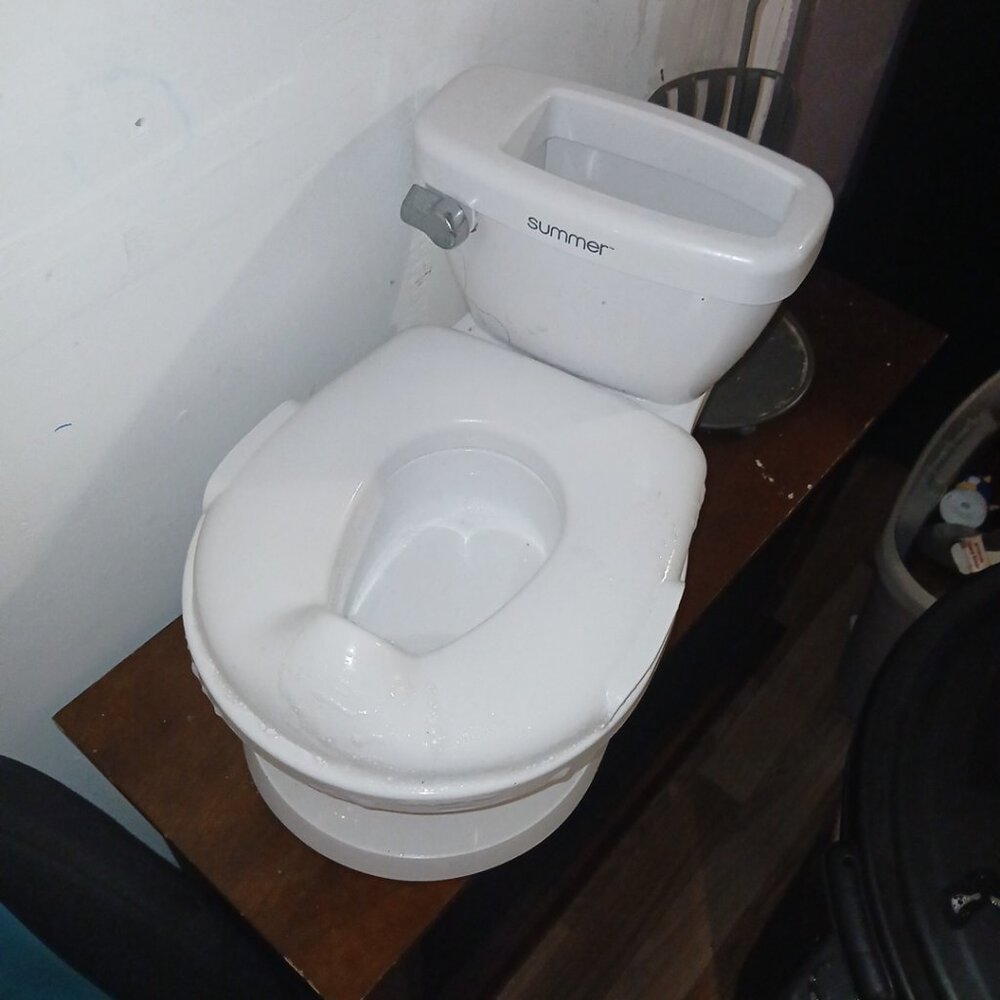 Potty Training Toilet *Flushing Sound*